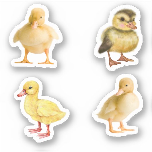 アヒルのシール シール (正面)