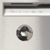 アヒルのスピードを上げる マグネット (インサイチュ (食洗機))