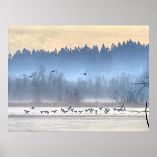 アヒルのダンス1 ポスター (正面)