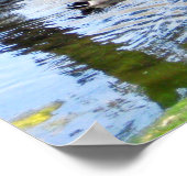 アヒルのネスト ポスター (角)