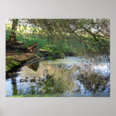 アヒルのネスト ポスター (正面)