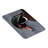 アヒルのプロフィール マグネット (右側)