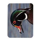 アヒルのプロフィール マグネット (縦)