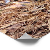 アヒルのポスター ポスター (角)