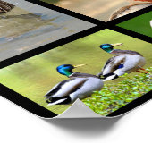 アヒルのモザイク写真 ポスター (角)