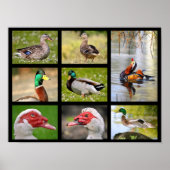 アヒルのモザイク写真 ポスター (正面)