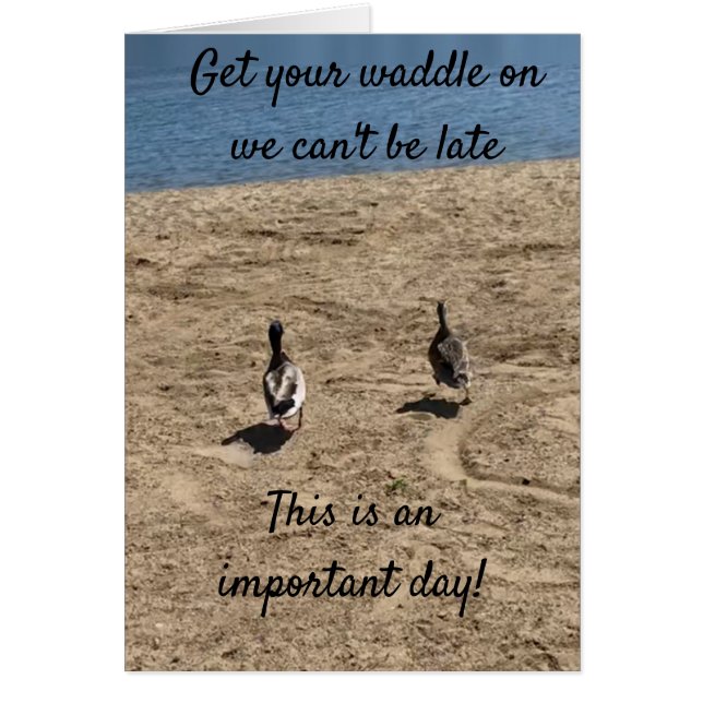 ***アヒルの上に歩いて***言う"ハッピーバースデー (正面)