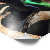 アヒルの写真 フォトプリント            (角)