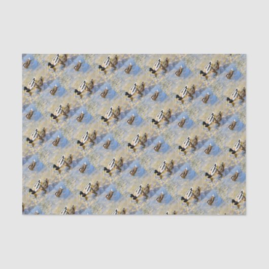 アヒルの写真 薄葉紙 (正面)