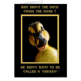 アヒルの十字が道なぜか