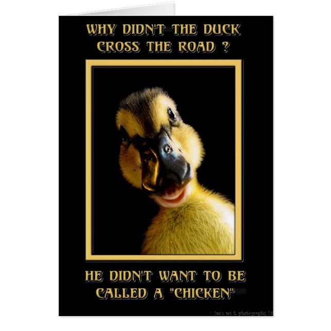 アヒルの十字が道なぜか (正面)