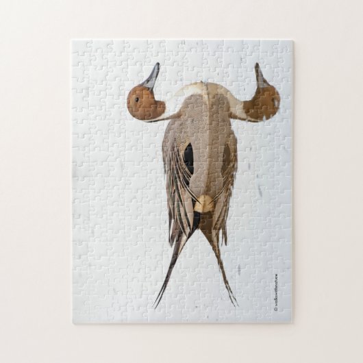 アヒルの反射 ジグソーパズル (縦)