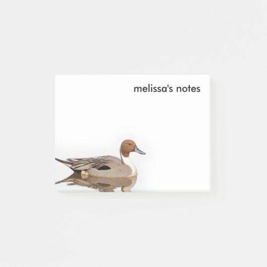 アヒルの反射 ポストイット (正面)