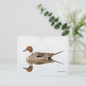 アヒルの反射 ポストカード (スタンド正面)