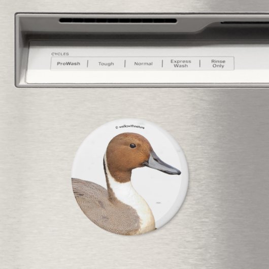 アヒルの反射 マグネット (インサイチュ (食洗機))