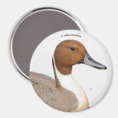 アヒルの反射 マグネット (正面/裏面)