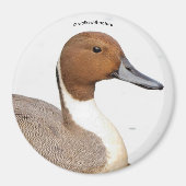 アヒルの反射 マグネット (正面)