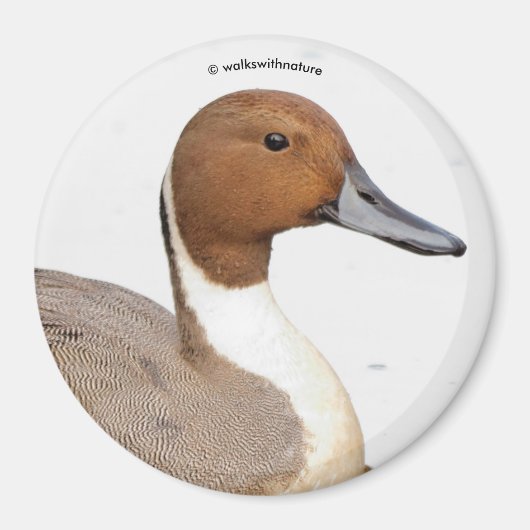 アヒルの反射 マグネット (正面)