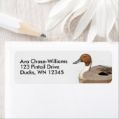 アヒルの反射 ラベル (インサイチュ)