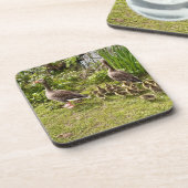 アヒルの命… コースター (左側)