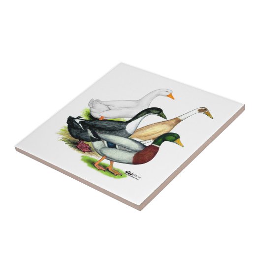 アヒルの四つ組 タイル (側面)