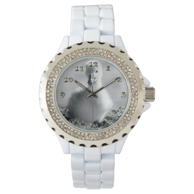 アヒルの子どもたち 腕時計 (正面)