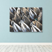 アヒルの尾 キャンバスプリント (インサイチュ (ウッドフロア))