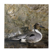 アヒルの恋人たち タイル (正面)