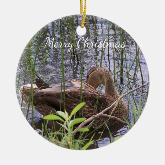 アヒルの手入れ セラミックオーナメント (正面)