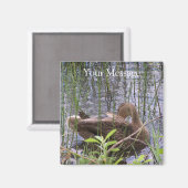 アヒルの手入れ マグネット (正面/裏面)