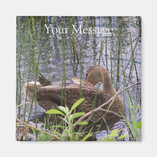 アヒルの手入れ マグネット (正面)