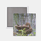 アヒルの手入れ マグネット (正面/裏面)