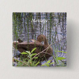 アヒルの手入れ 缶バッジ