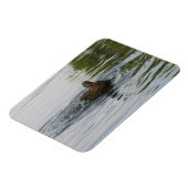 アヒルの揺れ尾 マグネット (左側)