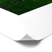 アヒルの木で覆われた池 ポスター (角)