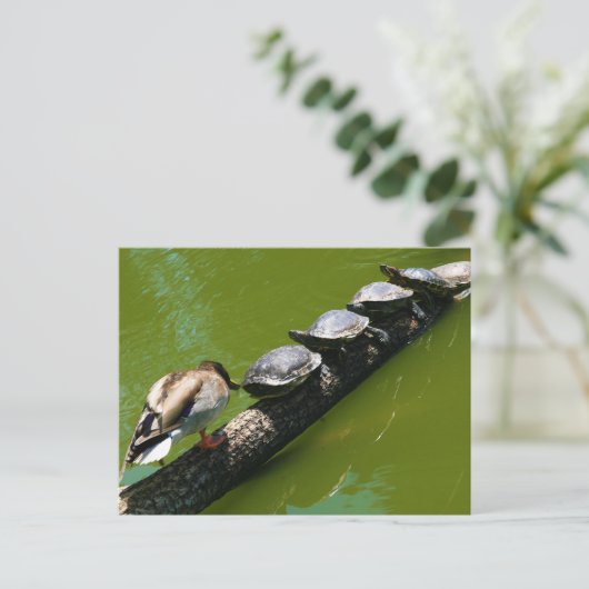 アヒルの木を越えようとする4匹のカメ ポストカード (スタンド正面)