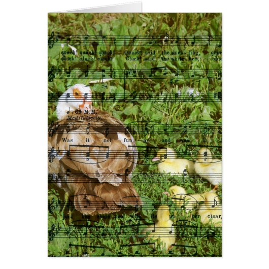 アヒルの歌とマスコヴィ・ヘン (正面)