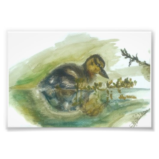 アヒルの水彩プリント フォトプリント            (正面)