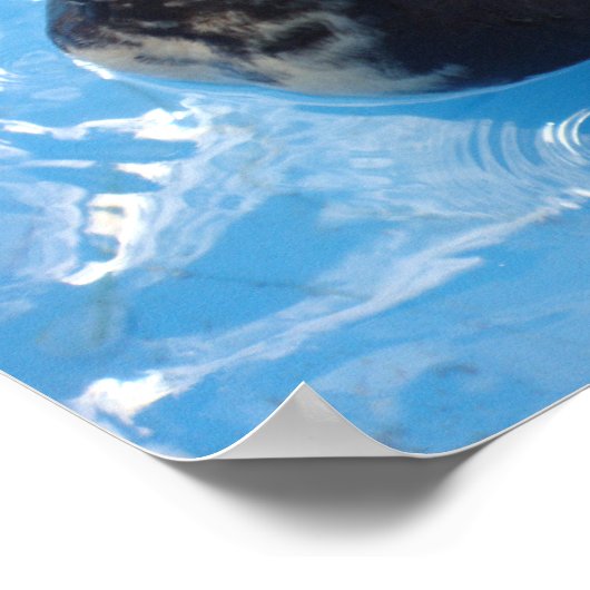 アヒルの水泳用ポスター ポスター (角)