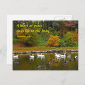 アヒルの池で秋 ポストカード (正面/裏面)