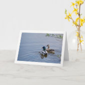 アヒルの池の挨拶状 カード (黄色い花)