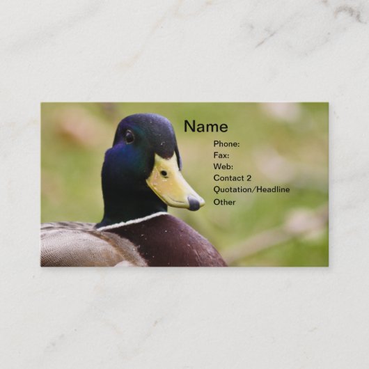 アヒルの狩りの名刺 名刺 (正面)