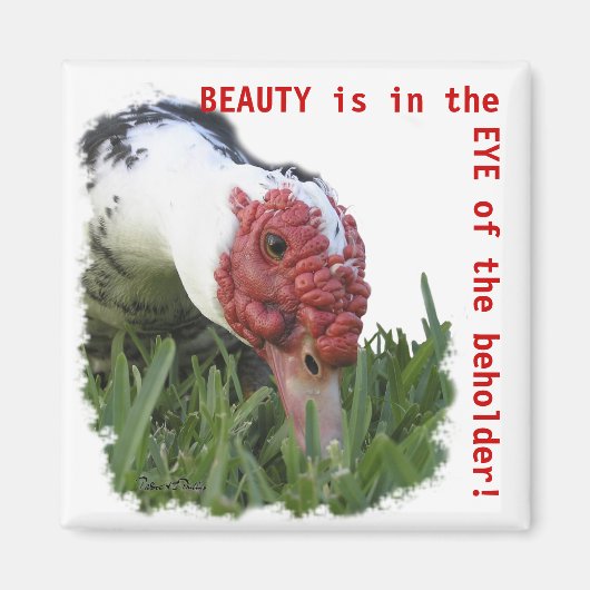 アヒルの目のクローズアップ写真 マグネット (正面)