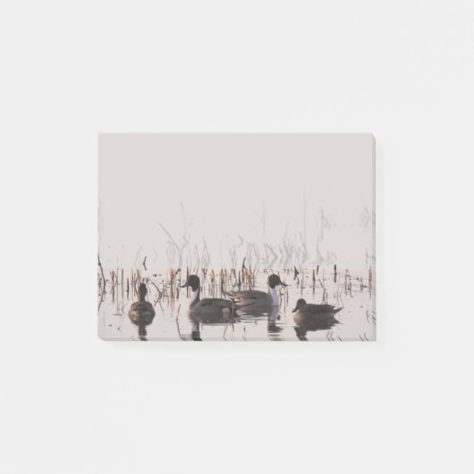アヒルの群れが湖に集まって泳ぐ ポストイット (正面)