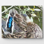 アヒルの羽 フォトプラーク (正面)