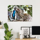 アヒルの羽 ポスター (ホームオフィス)