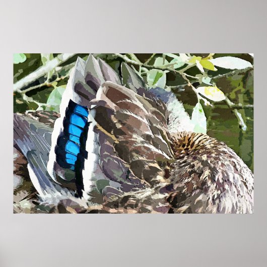 アヒルの羽 ポスター (正面)