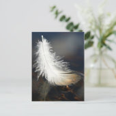 アヒルの羽 ポストカード (スタンド正面)