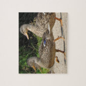 アヒルの行進 ジグソーパズル (縦)