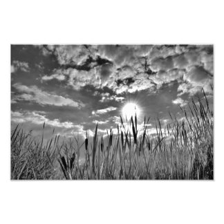 アヒルの視点 フォトプリント